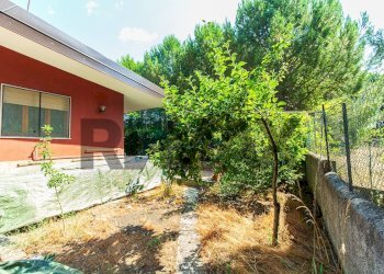 Giardino - Casa semi indipendente Via San Nicola
 
38, Nicolosi - foto 15