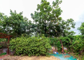 Giardino - Villa a Schiera Via Pier Luigi Deodato
 
24, San Giovanni la Punta - foto 9