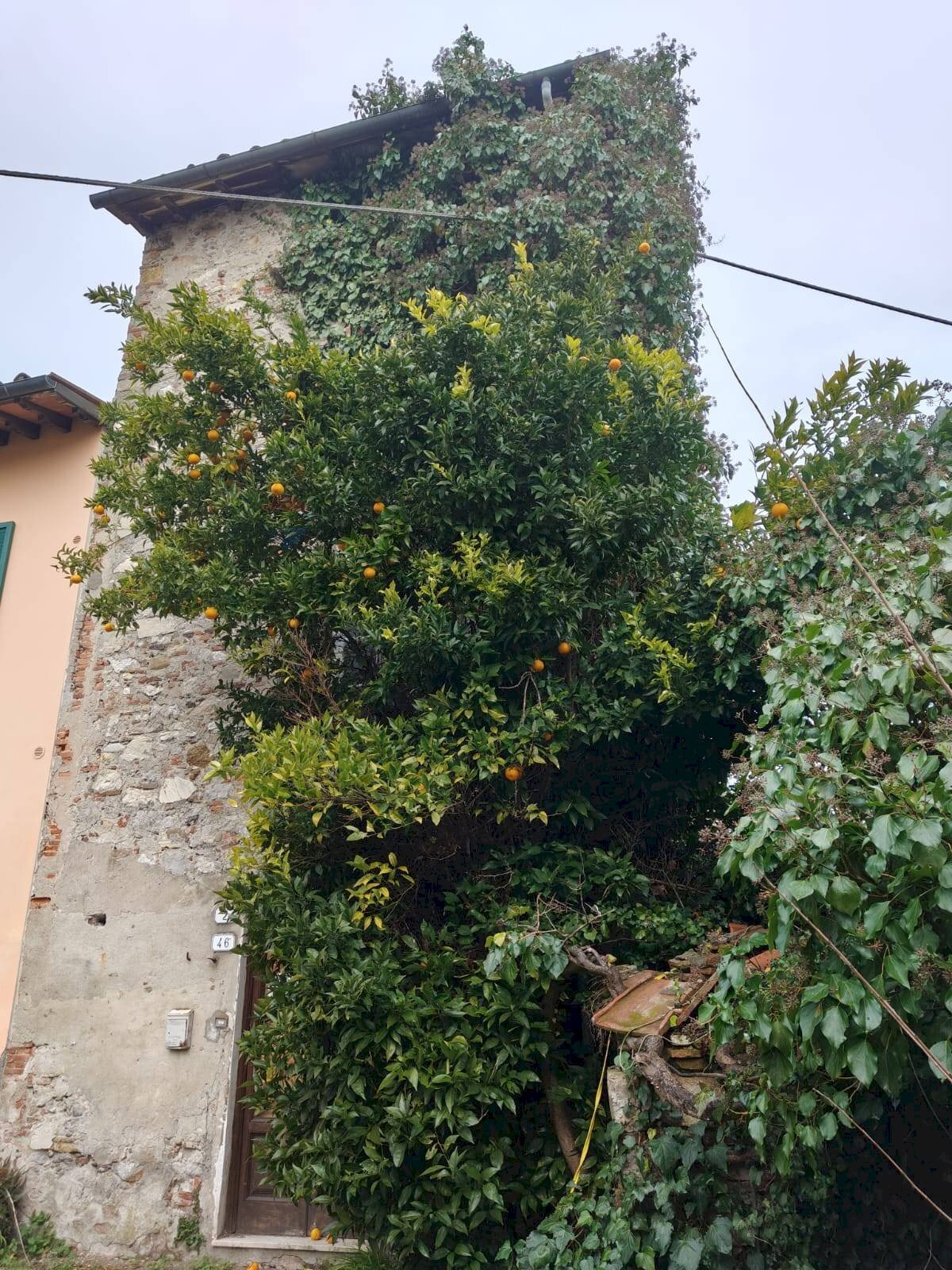 Casa all\'aperto - Rustico VIA DELLA CHIESA
46/D, Lucca - foto 2