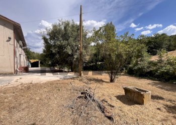 Giardino - Casa indipendente Via Pomontina
 
27, Bevagna - foto 3
