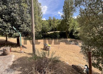 Giardino - Casa indipendente Via Pomontina
 
27, Bevagna - foto 5