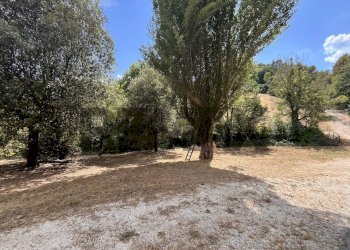 Giardino - Casa indipendente Via Pomontina
 
27, Bevagna - foto 6
