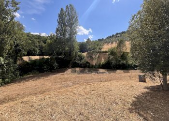 Giardino - Casa indipendente Via Pomontina
 
27, Bevagna - foto 7