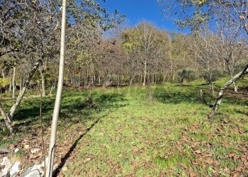 Giardino - Casa indipendente Via Caldoie
 
18, Cavaso del Tomba - foto 40