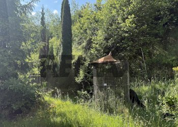 Giardino - Casa indipendente Frazione Cadola
 
32, Ponte nelle Alpi - foto 50
