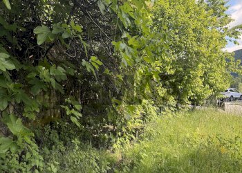 Giardino - Casa indipendente Frazione Cadola
 
32, Ponte nelle Alpi - foto 51