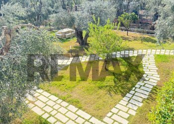 Giardino - One-room apartment Loc. Pilone del Monaco
 
snc, Vieste - photo 16