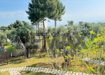 Giardino - One-room apartment Loc. Pilone del Monaco
 
snc, Vieste - photo 18