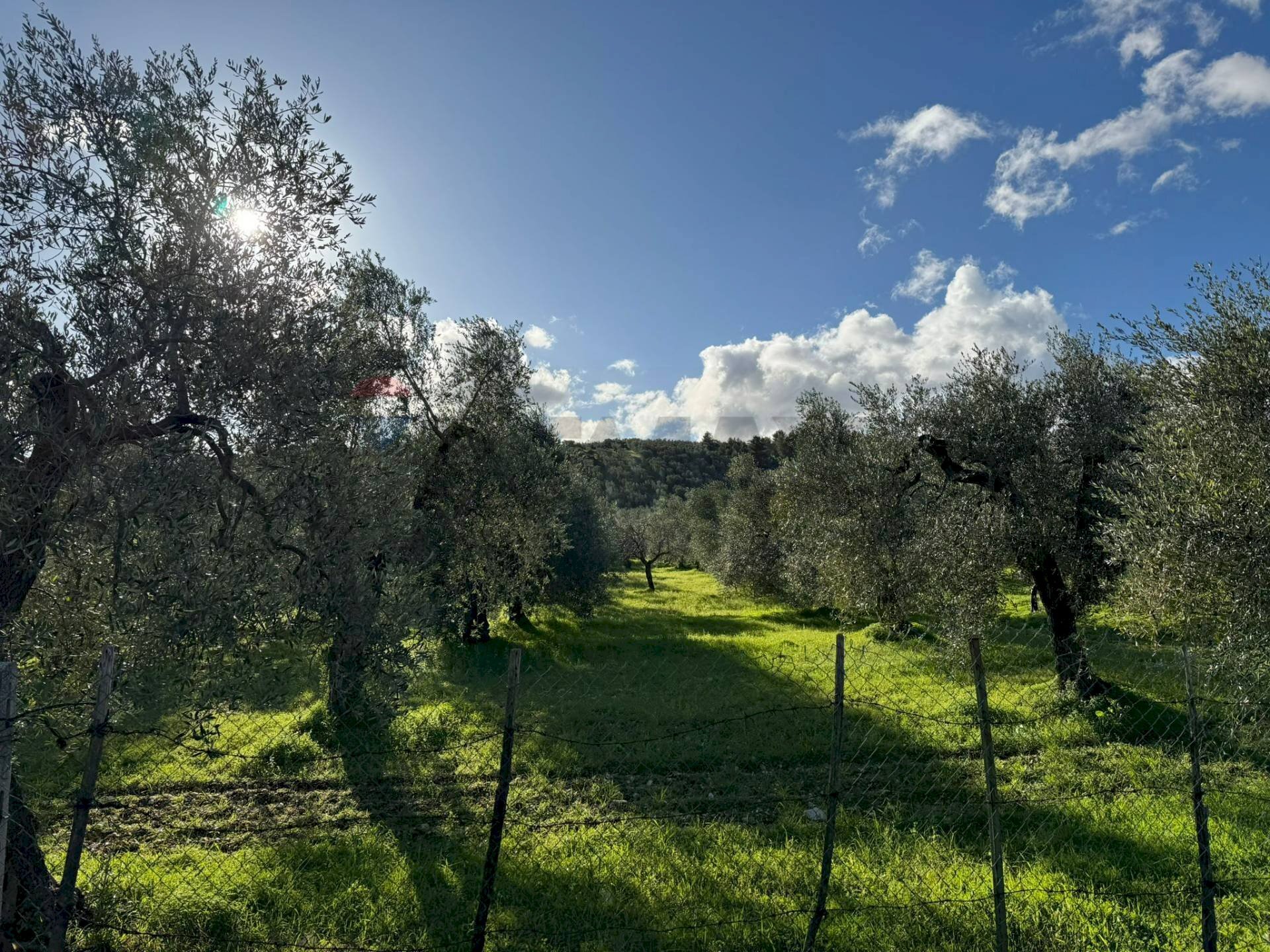 terreno - Agricultural land Lama Le Botti
 
1, Vieste - photo 3