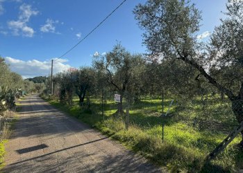 terreno - Agricultural land Lama Le Botti
 
1, Vieste - photo 2