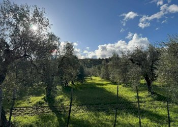 terreno - Agricultural land Lama Le Botti
 
1, Vieste - photo 3