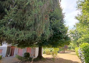 Foto 13 - Villa strada Baldichieri
 
6, Tigliole - photo 13
