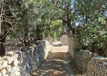 Giardino - Rustic Contrada Calanchi Vanella 7
 
3, Modica - photo 5