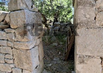 Giardino - Rustic Contrada Calanchi Vanella 7
 
3, Modica - photo 42