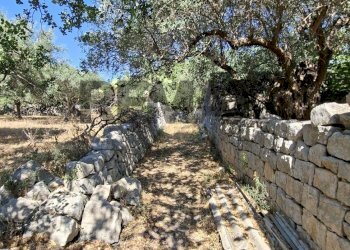 Giardino - Rustic Contrada Calanchi Vanella 7
 
3, Modica - photo 46