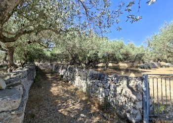 Giardino - Rustic Contrada Calanchi Vanella 7
 
3, Modica - photo 49