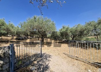 Giardino - Rustic Contrada Calanchi Vanella 7
 
3, Modica - photo 50
