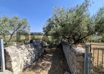 Giardino - Rustic Contrada Calanchi Vanella 7
 
3, Modica - photo 52