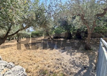 Giardino - Rustic Contrada Calanchi Vanella 7
 
3, Modica - photo 53