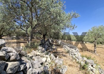 Giardino - Rustic Contrada Calanchi Vanella 7
 
3, Modica - photo 55