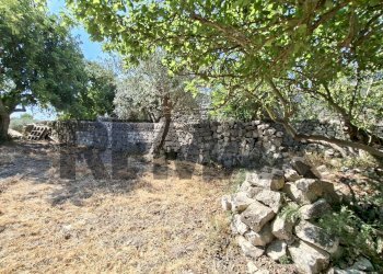 Giardino - Rustic Contrada Calanchi Vanella 7
 
3, Modica - photo 58