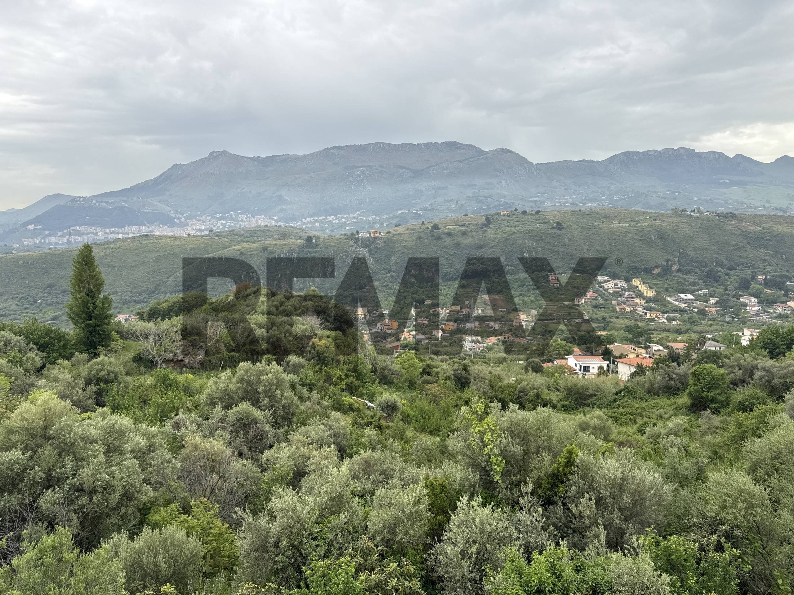 Vista delle montagne - Terreno agricolo CONTRADA GROTTE
SNC, Monreale - foto 3