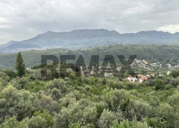 Vista delle montagne - Terreno agricolo CONTRADA GROTTE
SNC, Monreale - foto 3
