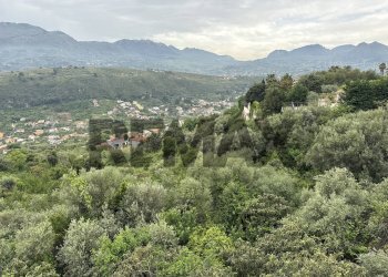 Vista delle montagne - Terreno agricolo CONTRADA GROTTE
SNC, Monreale - foto 4