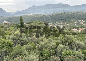 Vista delle montagne - Terreno agricolo CONTRADA GROTTE
SNC, Monreale - foto 5