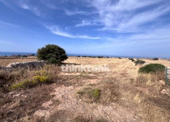 Foto 12 - Agricultural land Contrada Mangiabove, Ragusa - photo 12