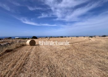 Foto 18 - Agricultural land Contrada Mangiabove, Ragusa - photo 18