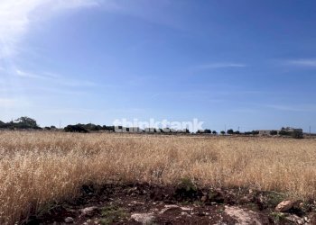Foto 7 - Agricultural land sp 25, Ragusa - photo 7