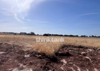 Foto 17 - Agricultural land sp 25, Ragusa - photo 17