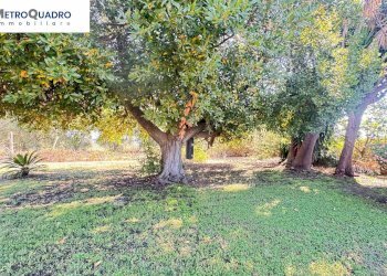 Foto 17 - Villa Via Della Tenuta La Pisana
171, Roma - photo 17