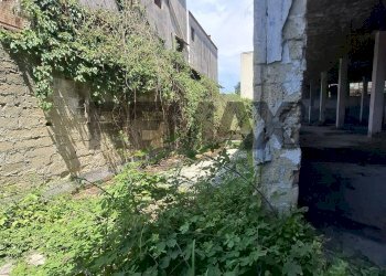 Giardino - Shed via Gaimabattista Vela
6, Napoli - photo 18