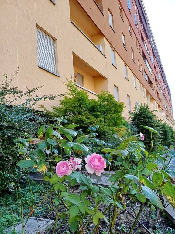 Giardino - Quadrilocale via Misa, 30, Bologna (zona Mazzini) - foto 3