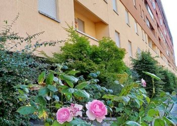 Giardino - Quadrilocale via Misa, 30, Bologna (zona Mazzini) - foto 3