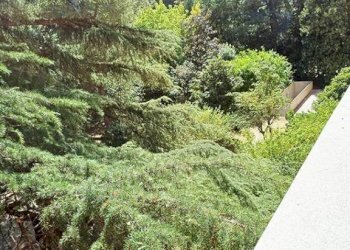 Giardino - Quadrilocale via Misa, 30, Bologna (zona Mazzini) - foto 37