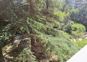 Giardino - Quadrilocale via Misa, 30, Bologna (zona Mazzini) - foto 38