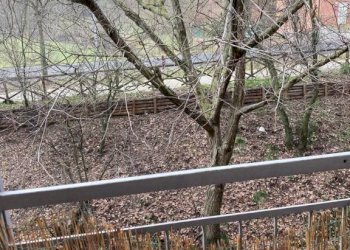 Terreno - Trilocale via Saverio Mercadante, 12, Casalecchio di Reno - foto 13