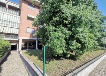 Giardino - Quadrilocale via Giuseppe Paganelli, 60, Venaria Reale - foto 5