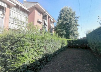 Giardino - Quadrilocale via Giuseppe Paganelli, 60, Venaria Reale - foto 14