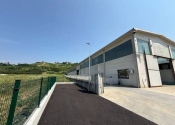 Shed Pocapaglia - photo 9