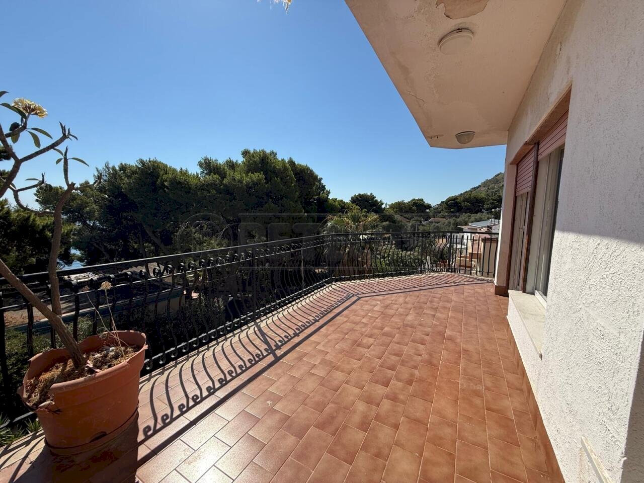 terrazzo - Three-room apartment Via Ammiraglio Paolo Canevari 3, Palermo - photo 1