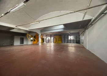 5 - Capannone Via Baltea, Torino (zona Barriera Milano) - foto 5