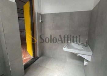 14 - Capannone Via Baltea, Torino (zona Barriera Milano) - foto 14