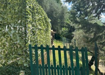 4 - Apartment via Petrognano, Rufina - photo 4