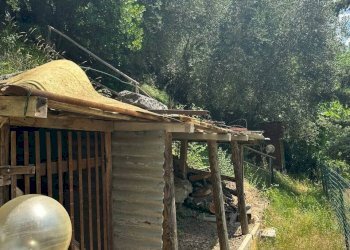 5 - Apartment via Petrognano, Rufina - photo 5