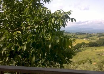 WP_20160523_003.jpg - Porzione di casa via san francesco, Lugnano in Teverina - foto 14