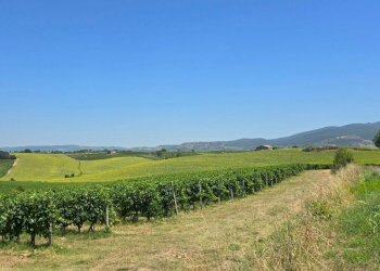 tenuta orvieto  (6).jpg - Casale Strada provinciale 92 snc, Baschi - photo 20